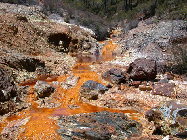 Figure 3.21: A new group of archaea were recently discovered in acid rock drainage (sometimes referred to as acid mine drainage), like this acid drainage seen in the Rio Tinto River in Spain. Image from URL: http://en.wikipedia.org/wiki/Archaea