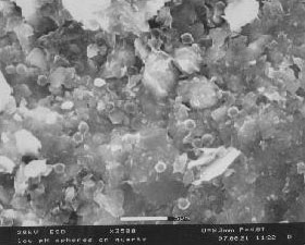 Figure 3.25: A biofilm micrograph showing a biofilm from soil in Arizona. Image from URL: http://www.wpi.edu/. Obtained with the assistance of Dr. Maria Klimkiewicz at the Pennsylvania State University.