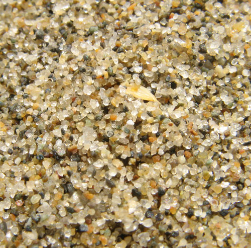 Figure 3.5: Sand from a beach near Vancouver. Image from URL: http://upload.wikimedia.org/wikipedia/commons/a/a9/Third_beach_sand.jpg