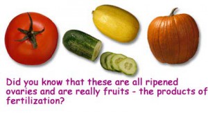 Figure 7.24: Fruit types. Image from URL: http://urbanext.illinois.edu/gpe/case1/c1facts2e.html