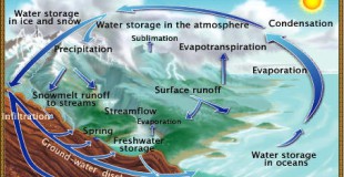 Figure 4.7: The water cycle describes the continuous of movement and state changes of water on Earth. Image from URL: http://ga.water.usgs.gov/edu/watercycle.html